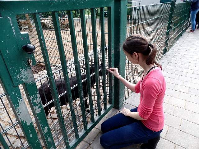 Gysenberg-Streichelzoo-06